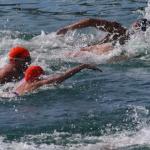 Glenelg Open Water Swim 2009 - 4